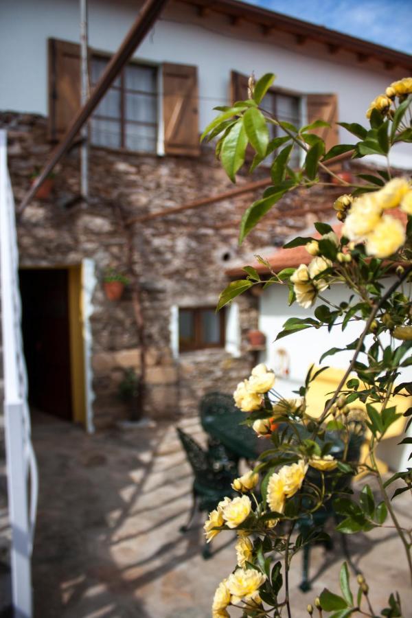 Casa Adalcina Apartment Mirandela Luaran gambar