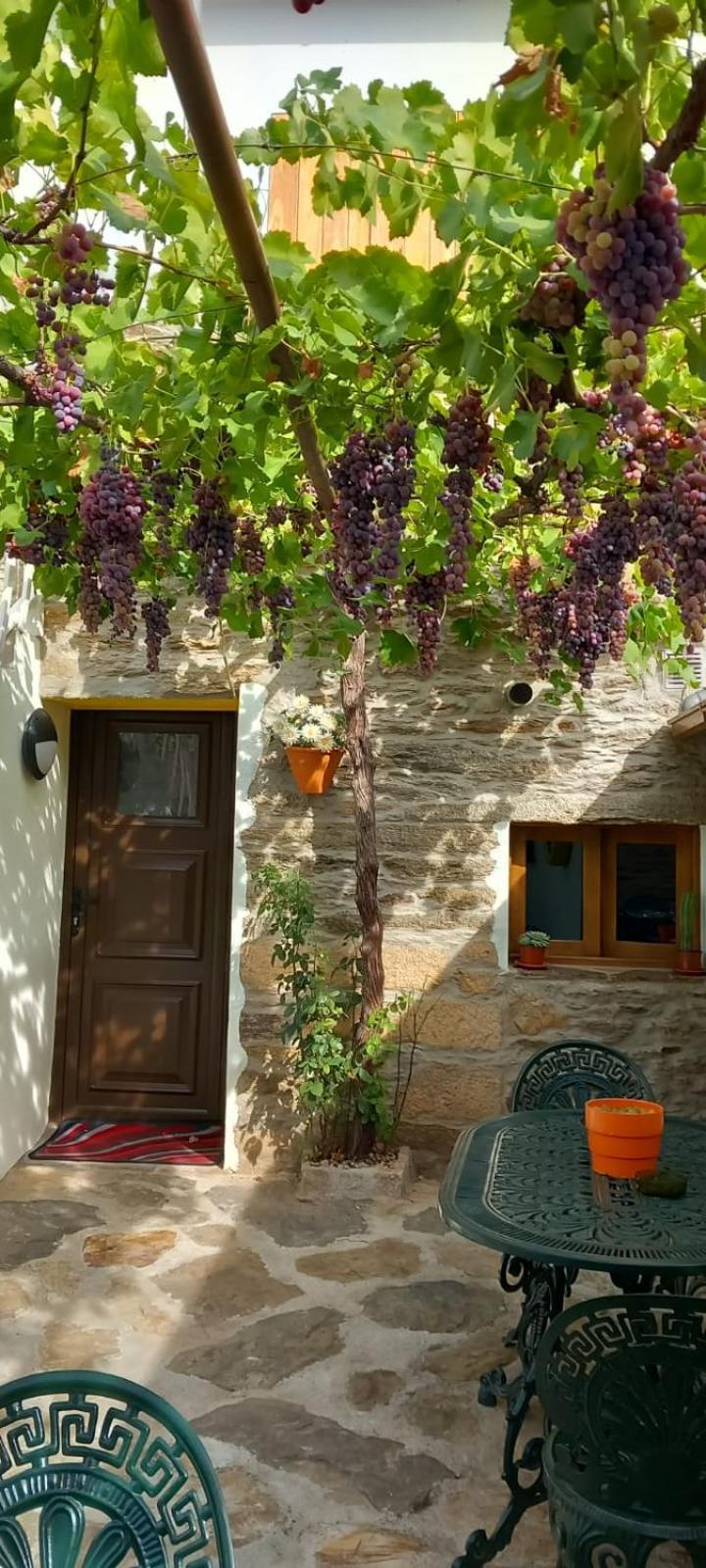 Casa Adalcina Apartment Mirandela Luaran gambar